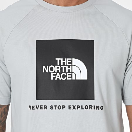 The North Face - Tee Shirt Raglan Redbox A87NJ Gris