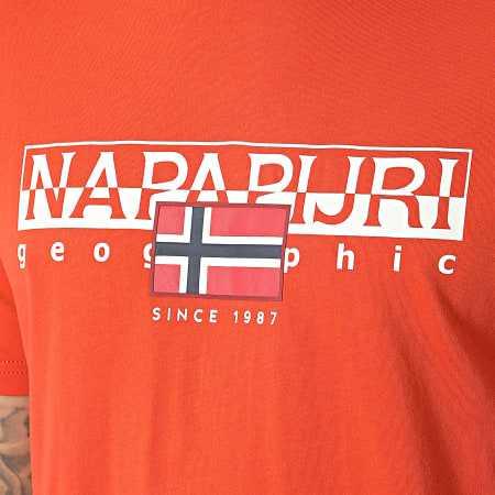 Napapijri - Maglietta S-Aylmer A4HTO Arancione
