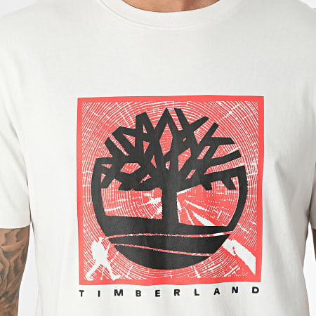 Timberland - Tee Shirt Manica anteriore Grap A5UDB Beige