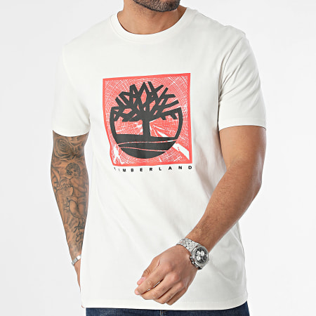 Timberland - Camiseta Manga Delantera Grap A5UDB Beige