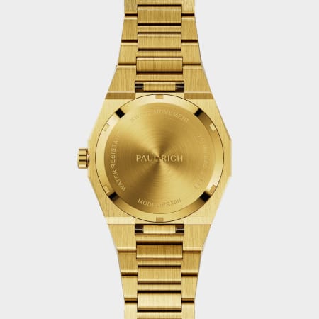Paul Rich - Montre Frosted Star Dust II Gold