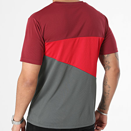 Puma - Tee Shirt AC Milan 777111 Bordeaux Gris Rouge