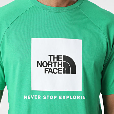 The North Face - Tee Shirt Raglan Redbox A87NJ Vert