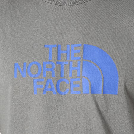 The North Face - Camiseta Easy A87N5 Gris