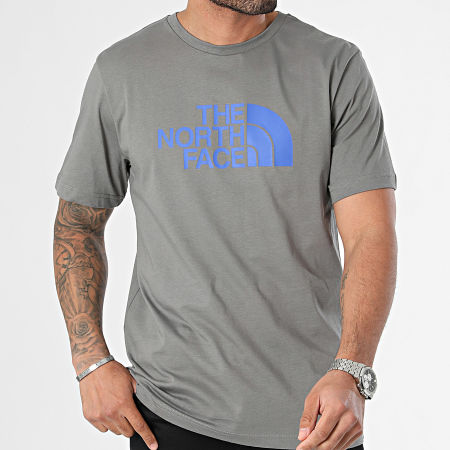 The North Face - Tee Shirt Easy A87N5 Gris