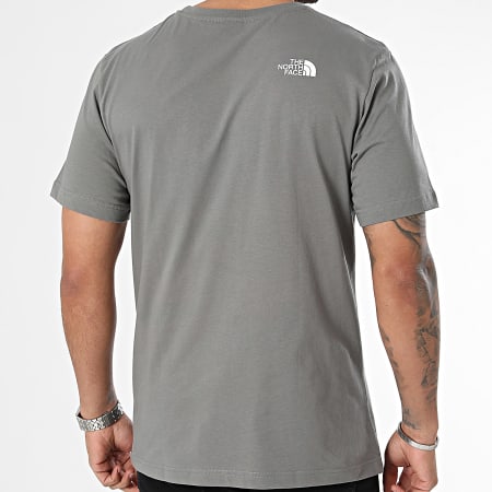 The North Face - Tee Shirt Easy A87N5 Gris