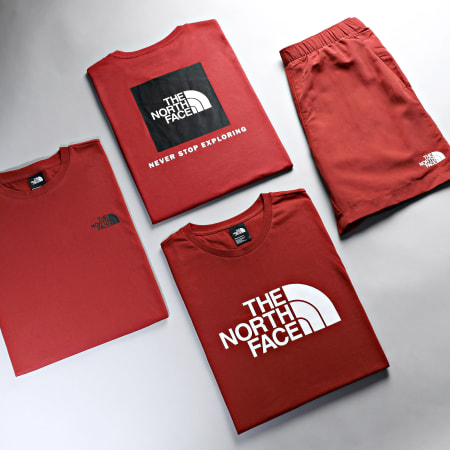 The North Face - Tee Shirt Easy A87N5 Bordeaux