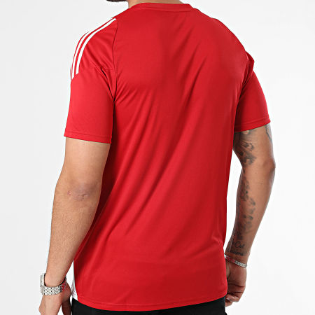 Adidas Sportswear - Tiro24 IS1016 Maglietta a righe rosse e bianche