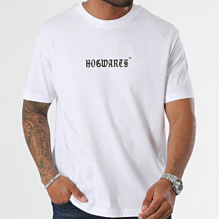 Harry Potter - Camiseta oversize Ravenclaw Blanca