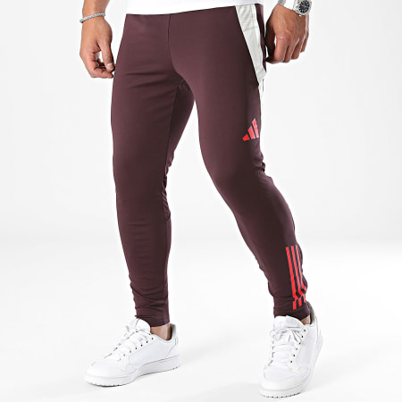 Adidas Performance - FC Bayern Múnich Pantalón de chándal IS9939 Burdeos