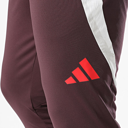 Adidas Sportswear - Pantaloni da jogging FC Bayern Monaco IS9939 Bordeaux