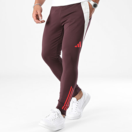 Adidas Performance - FC Bayern Múnich Pantalón de chándal IS9939 Burdeos