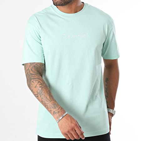 Calvin Klein - Tee Shirt Hero Logo Comfort 1346 Vert Clair
