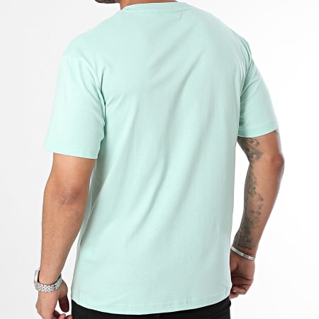 Calvin Klein - Tee Shirt Hero Logo Comfort 1346 Vert Clair