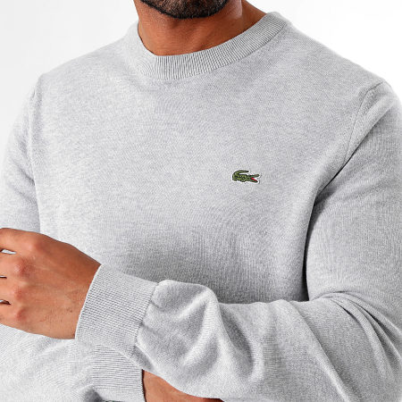 Pull Logo Brode Crocodile Gris Clair Chine