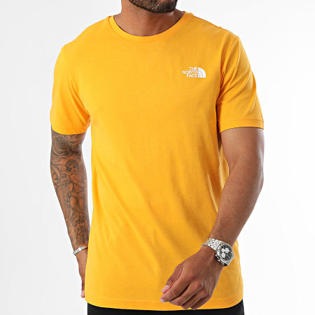 The North Face - Tee Shirt Redbox A87NP Geel