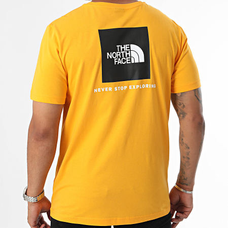 The North Face - Tee Shirt Redbox A87NP Geel