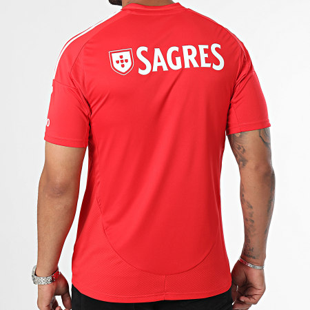 Adidas Sportswear - Tee Shirt A Bandes SL Benfica JJ5110 Rouge