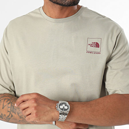 The North Face - Coordinates Tee Shirt A89DA Verde chiaro