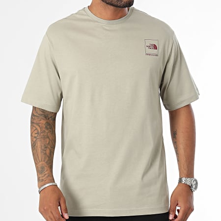 The North Face - Coordinates Tee Shirt A89DA Verde chiaro