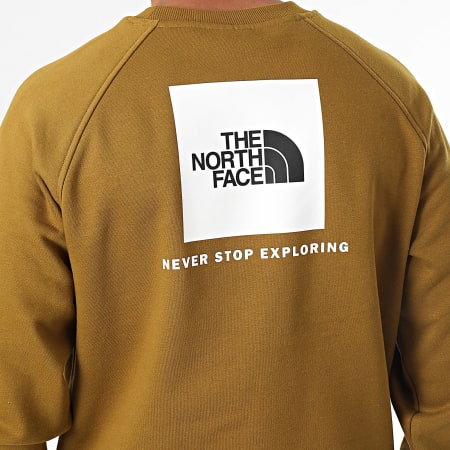 The North Face - Crewneck Raglan Sweat Redbox A89FA Caqui Verde