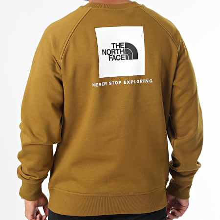 The North Face - Crewneck Raglan Sweat Redbox A89FA Caqui Verde