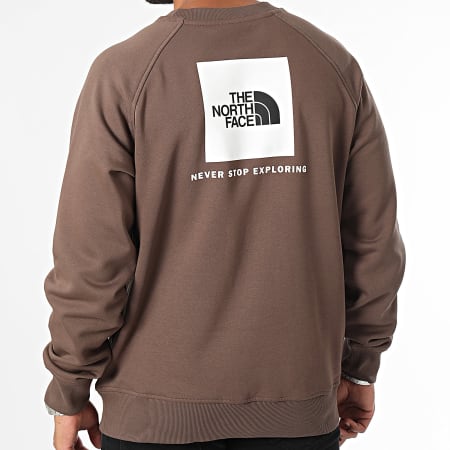 The North Face - Felpa girocollo Raglan Redbox A89FA Marrone