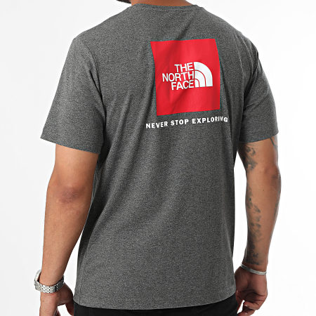 The North Face - Tee Shirt Redbox A87NP Gris Chiné