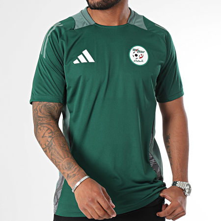 Adidas Sportswear - Maillot De Sport A Bandes Algérie JJ5988 Vert