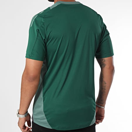 Adidas Sportswear - Algerije gestreepte sporttrui JJ5988 Groen