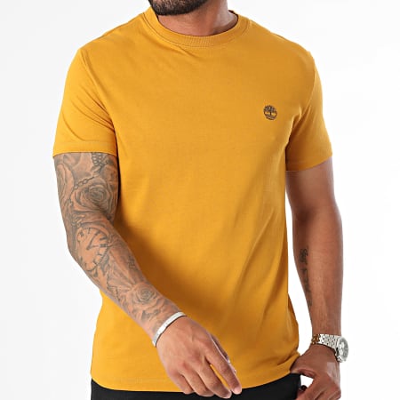 Timberland - Tee Shirt A2BPR Camel