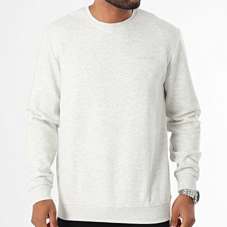 Teddy Smith - Ronde hals Sweat Nark 10816922D Beige Chiné