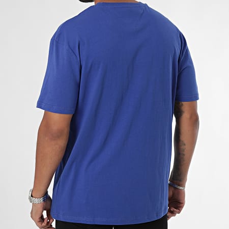 Tommy Jeans - Tee Shirt Regular Fit Gold Linear Logo 9694 Royal Blue Gold