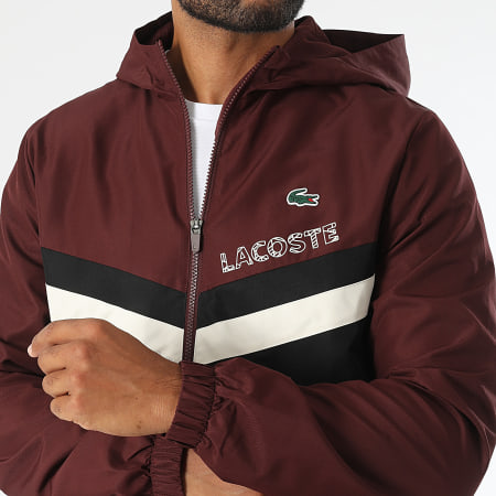 Chandal lacoste 2019 clearance