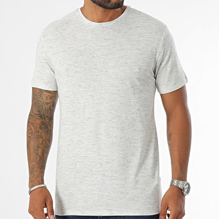 Teddy Smith - Tee Shirt Nark 11014742D Beige Clair Chiné