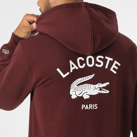 Lacoste - Krokodillen Logo Hoody Bordeaux