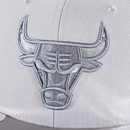 Mitchell and Ness - Day 11 Chicago Bulls NBA Snapback Cap HS8033 Grijs Zilver