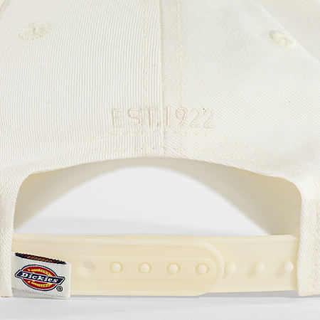 Dickies - Casquette Hardwick A4TKV Blanc Cassé
