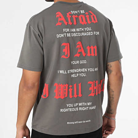 Classic Series - Tee Shirt Oversize 174 Gris Anthracite