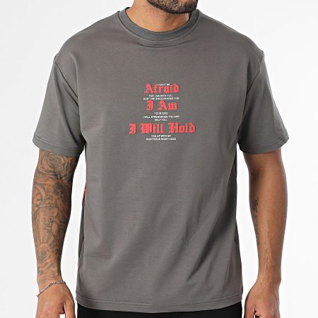 Classic Series - Tee Shirt Oversize 174 Gris Anthracite