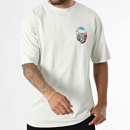 Classic Series - Tee Shirt Oversize Alger 039 Gris Clair