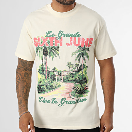 Classic Series - Tee Shirt Oversize 677 Beige