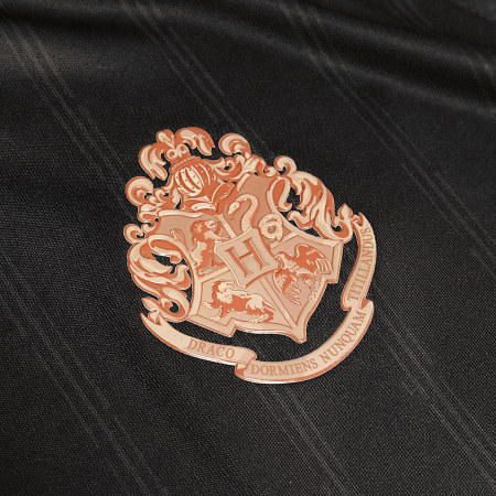 Harry Potter - Maglia Collector Jersey Hogwarts Nero Beige