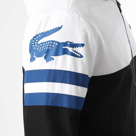 Lacoste Shirt Royal Blue Lacoste Hoodie Lacoste Black White Royal