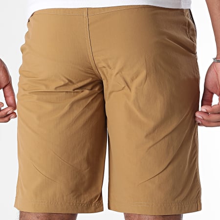 The North Face - Short Tanken A2S85 Camel