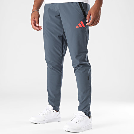 Adidas Sportswear - Pantalon Joggin FC Bayern Munich JV5344 Gris Anthracite