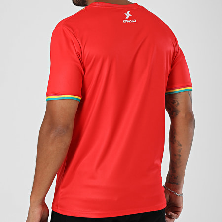Maillot de foot Guinée 2021 2022 third jaune Maillot de foot Guinée 2021 2022 third jaune