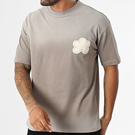 Classic Series - Tee Shirt Oversize Large 131 Blanc Gris Dégradé Taupe Gris