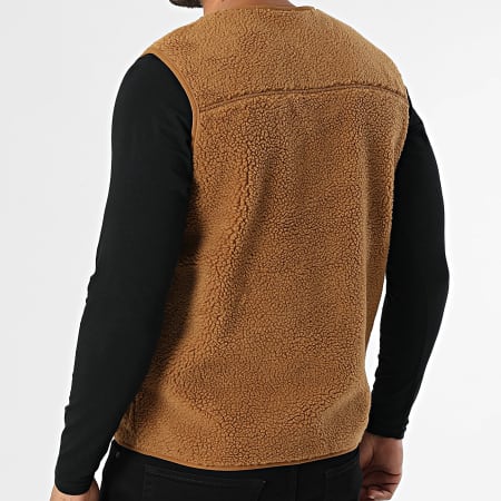 Dickies - Chaleco polar Mount Hope A4YEG Camel