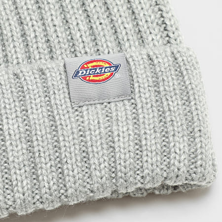 Dickies - Gorro A4Z2O Gris